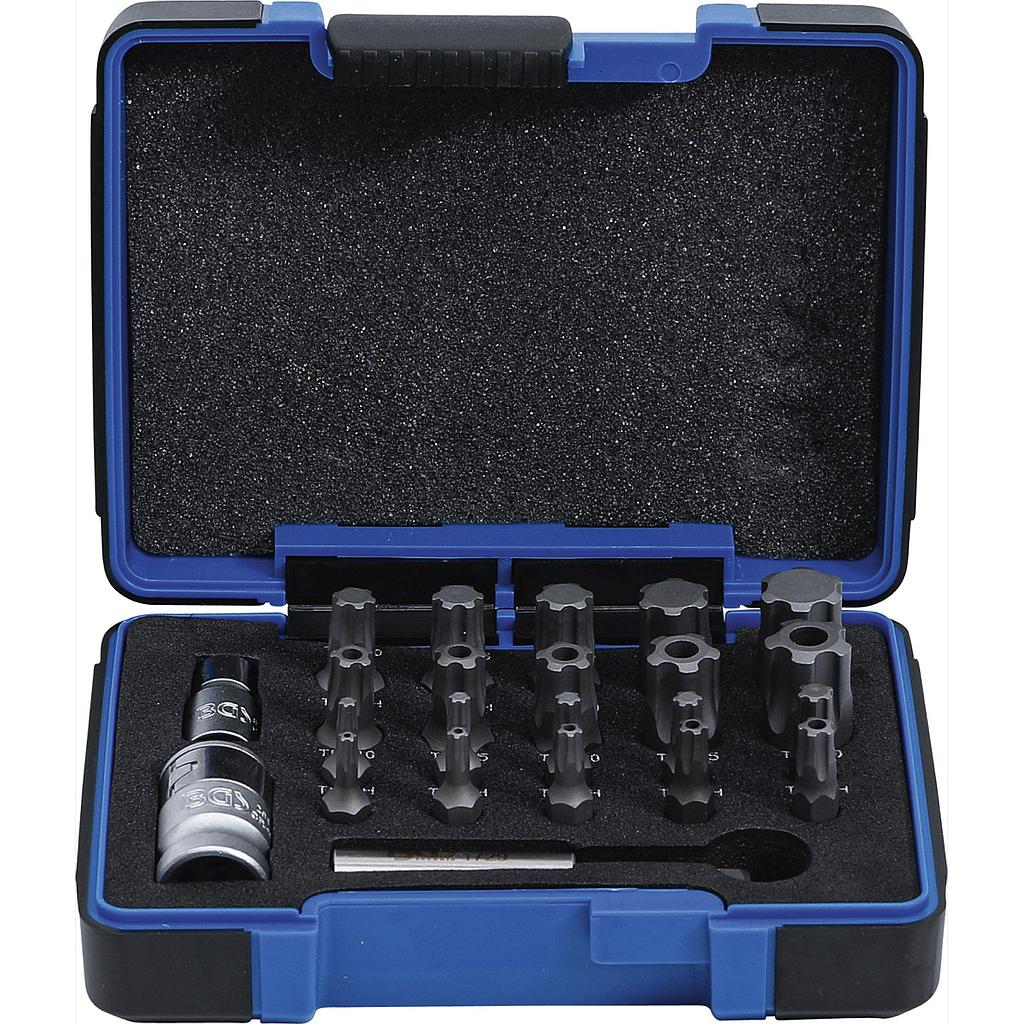 Bit-Satz | TS-Profil PLUS (für Torx Plus) | 23-tlg.