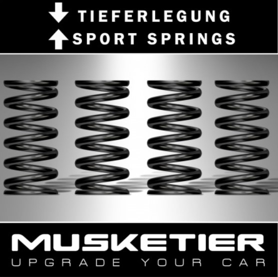 Tieferlegungsfedernsatz ca. 30 mm 2,0 BlueHDi 120 / 150 &amp; 180 Musketier
